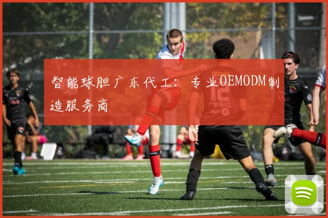 智能球胆广东代工：专业OEMODM制造服务商
