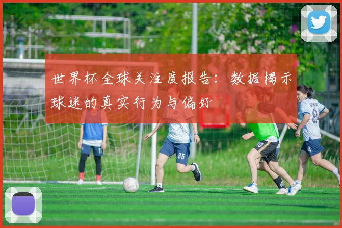 世界杯全球关注度报告：数据揭示球迷的真实行为与偏好