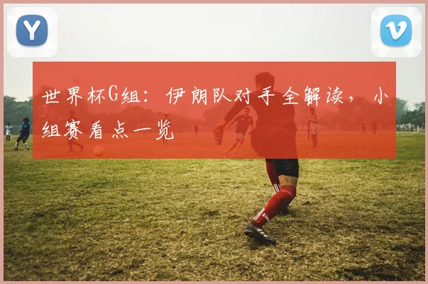 世界杯G组：伊朗队对手全解读，小组赛看点一览