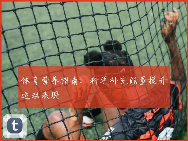 体育营养指南：科学补充能量提升运动表现